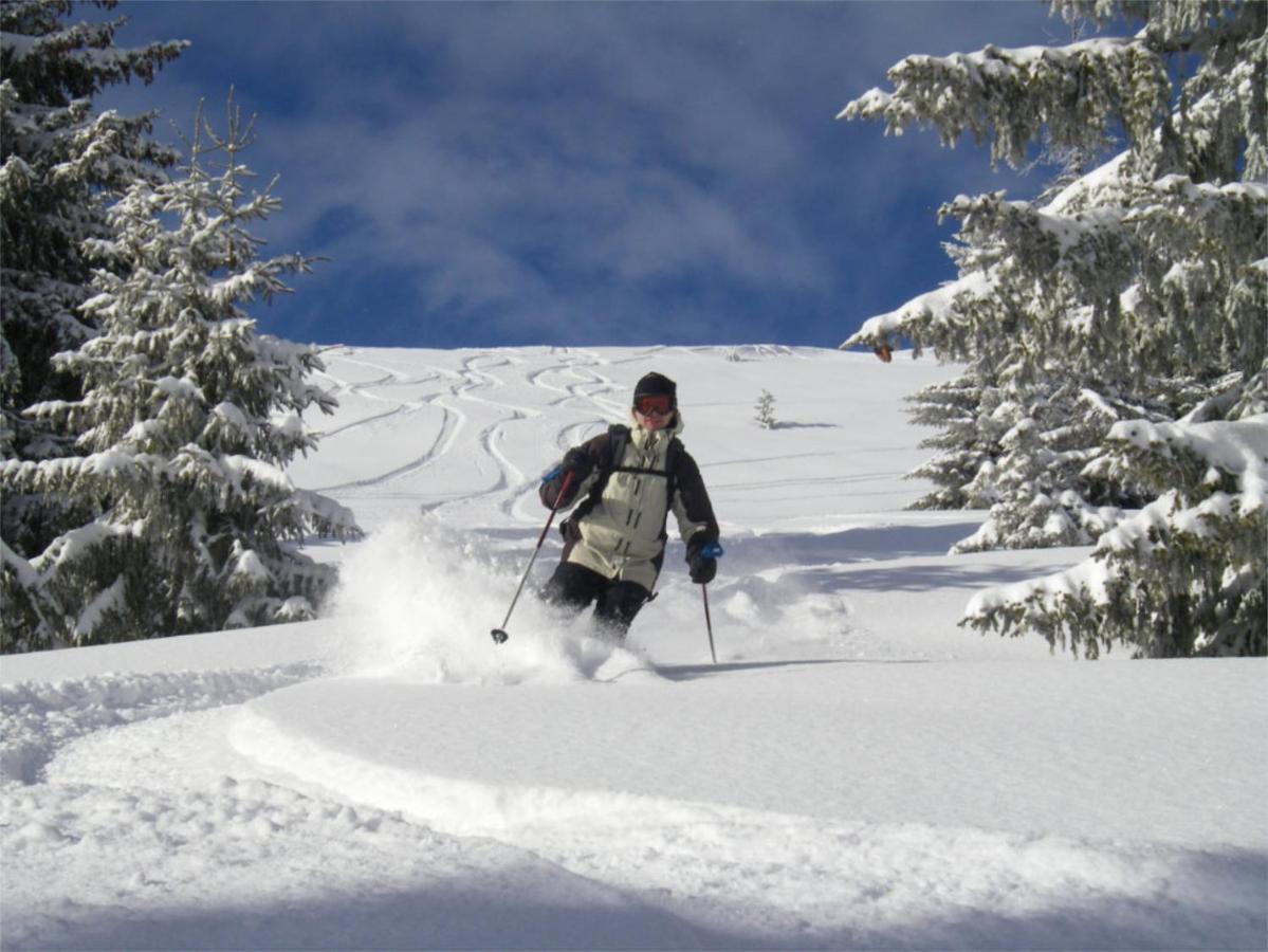 Chalet Aventure B&B Les Gets Bagian luar foto