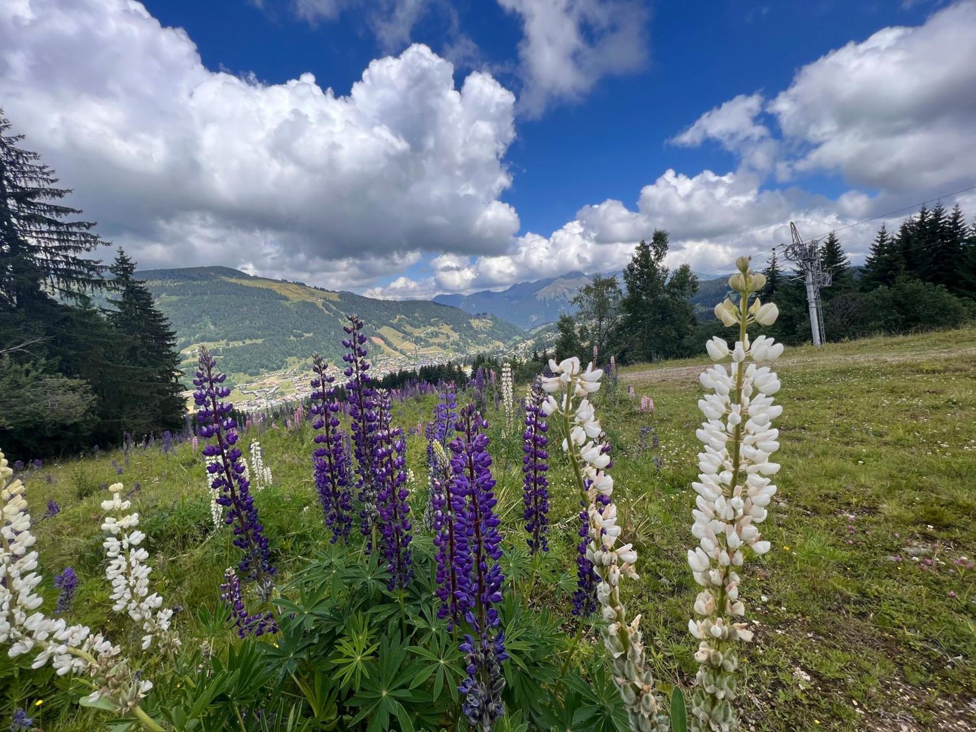Chalet Aventure B&B Les Gets Bagian luar foto